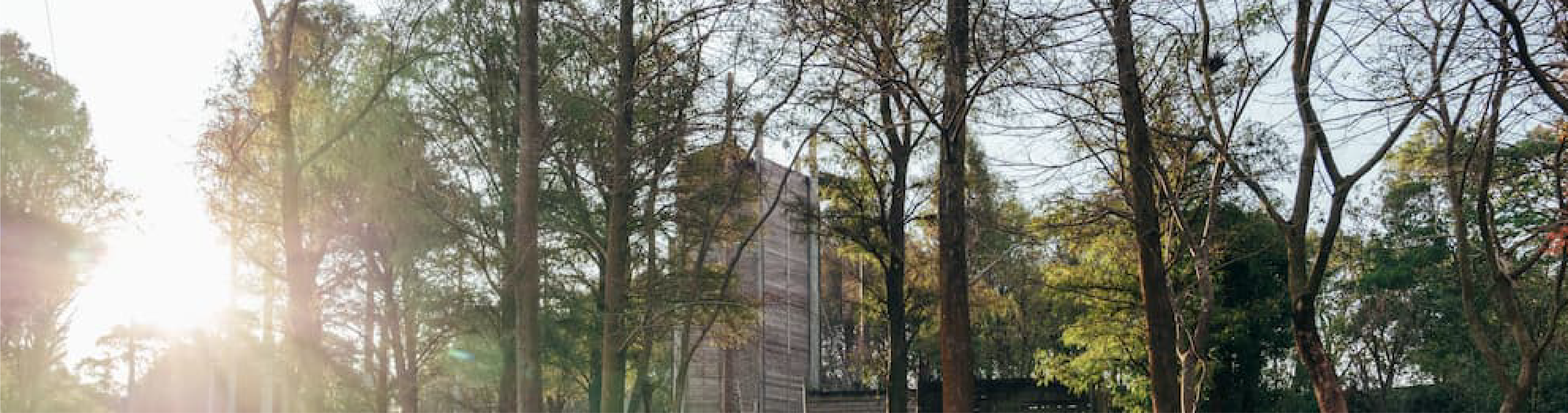 線上課程官網BANNER