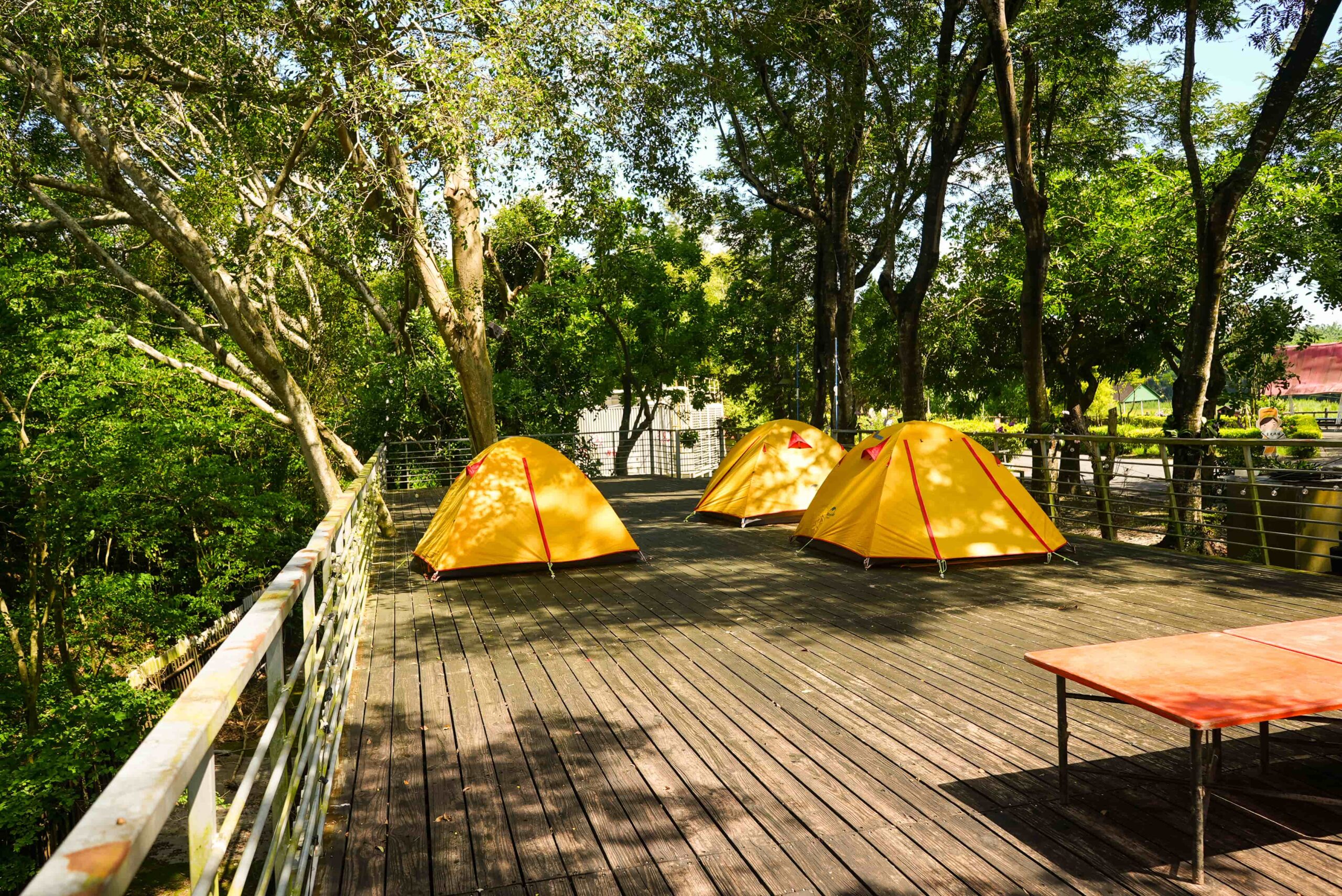 2026夏令營|6天5夜經典營 5 2026夏令營|6天5夜經典營:圖片 5