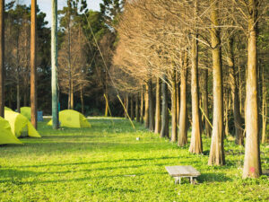 OBT x IST |4天3夜高階班