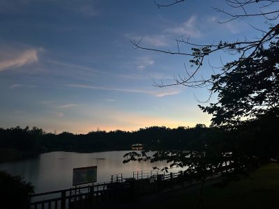 IMG_0753