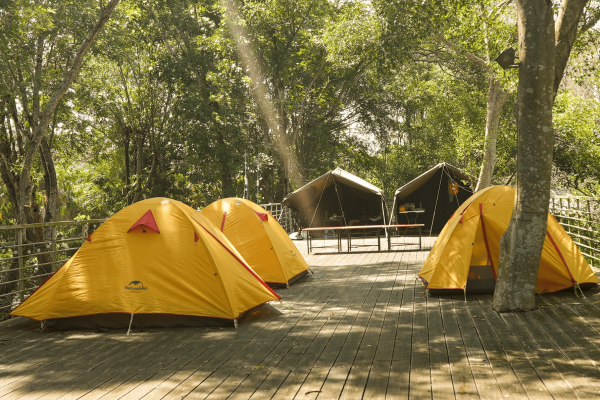 螢幕擷取畫面 2026-04-01 190708 (1)